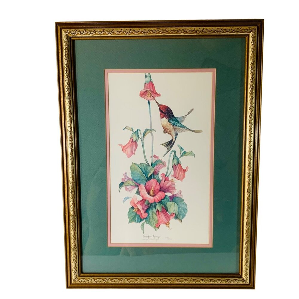 Hummingbird Print Framed Artist Signed Number VTG '95 Carolyn Shores Wright